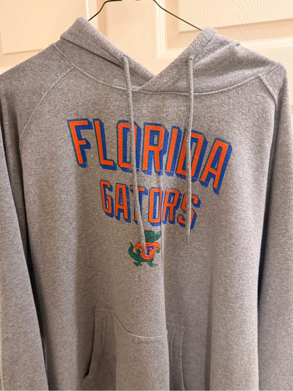 Florida Gators Hoodie